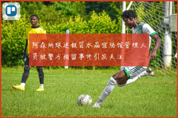 阿森纳球迷假冒水晶宫场馆管理人员被警方拘留事件引发关注